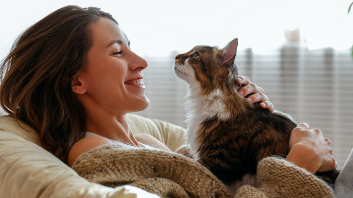 MC-Royal® Spot On für Katzen