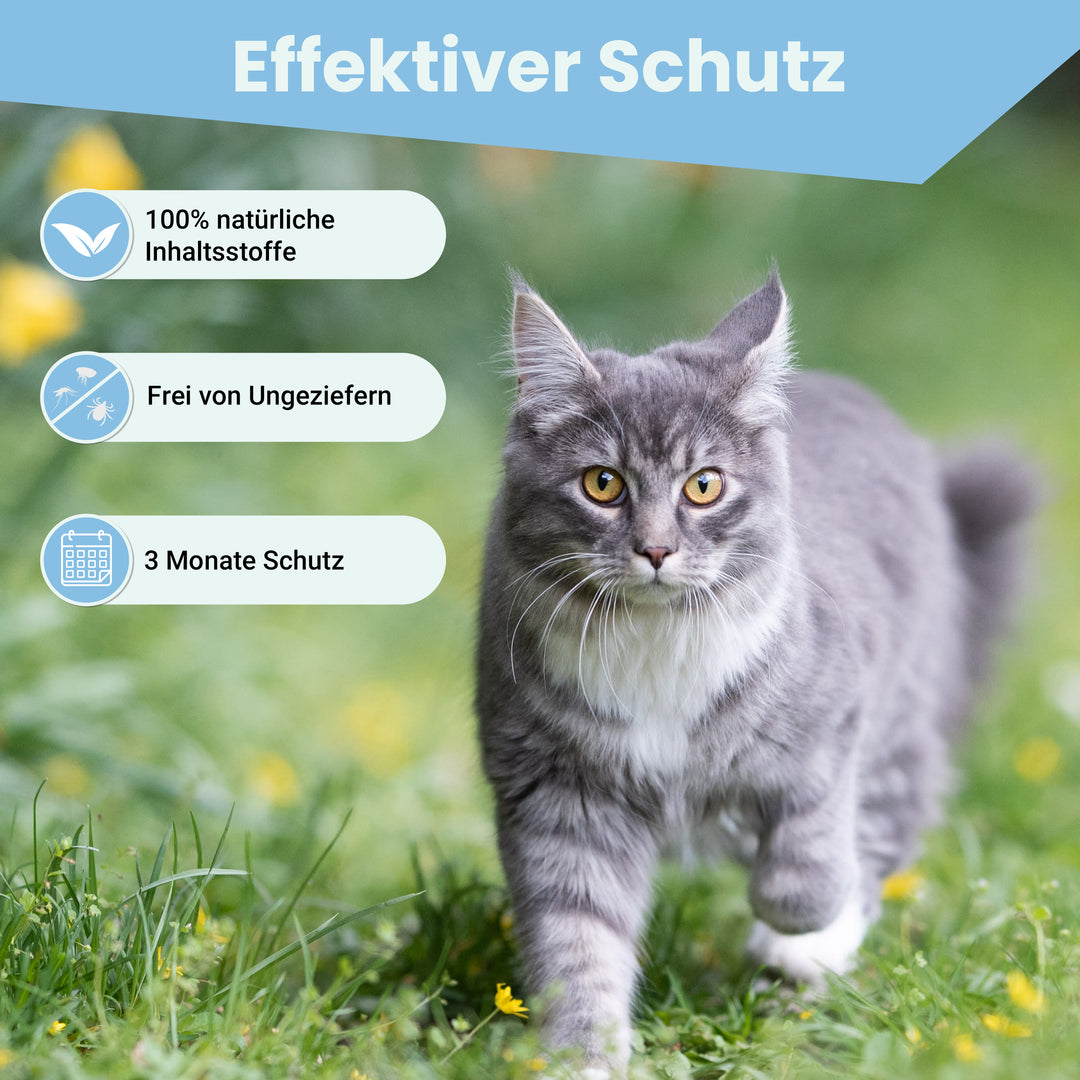 MC-Royal® Spot On für Katzen