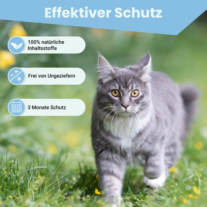 MC-Royal® Spot On für Katzen