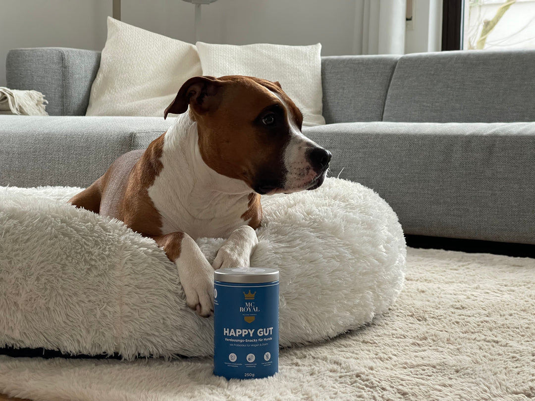 Verwöhne deinen pelzigen Freund mit MC-Royal's mineralreichhenVerdauungssnacks für Hunde!