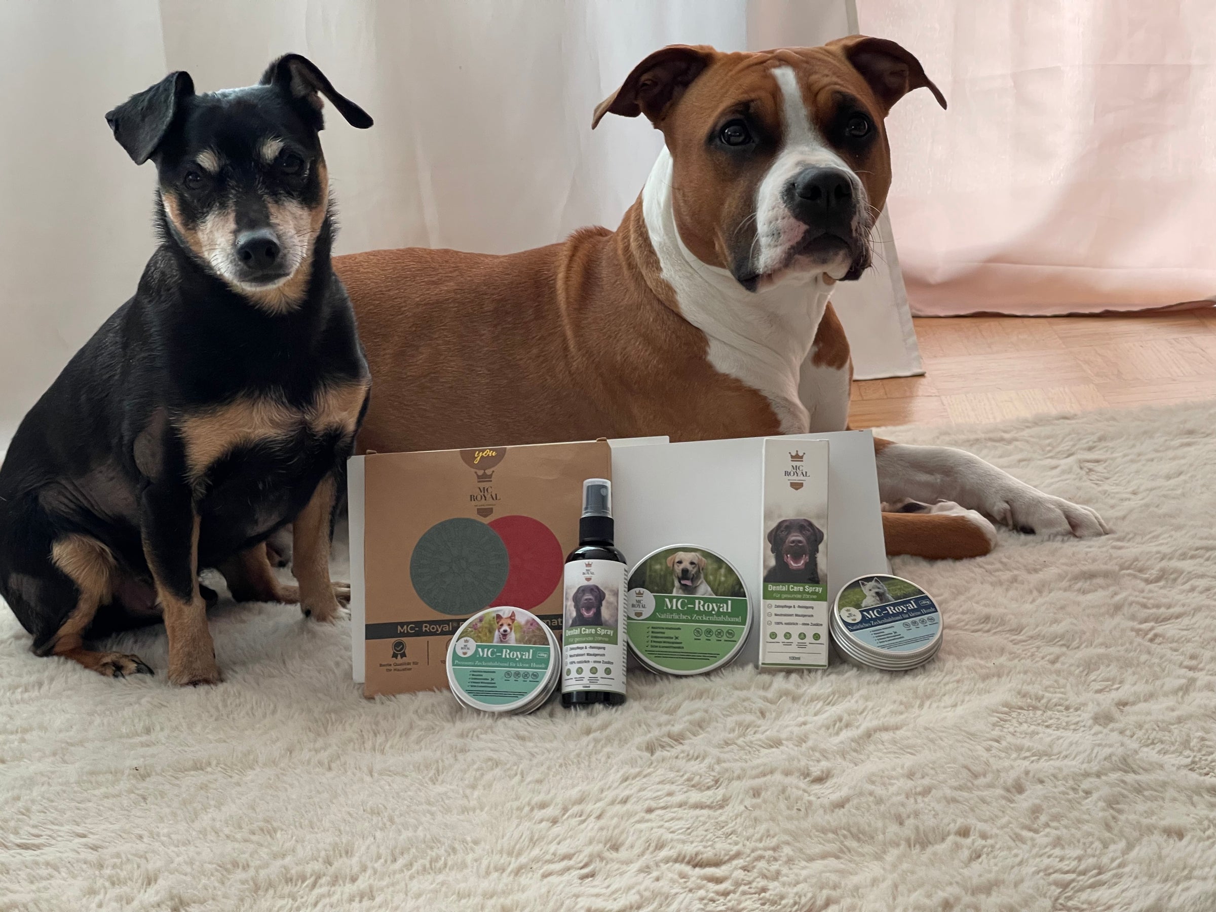 Produkte für Hunde
