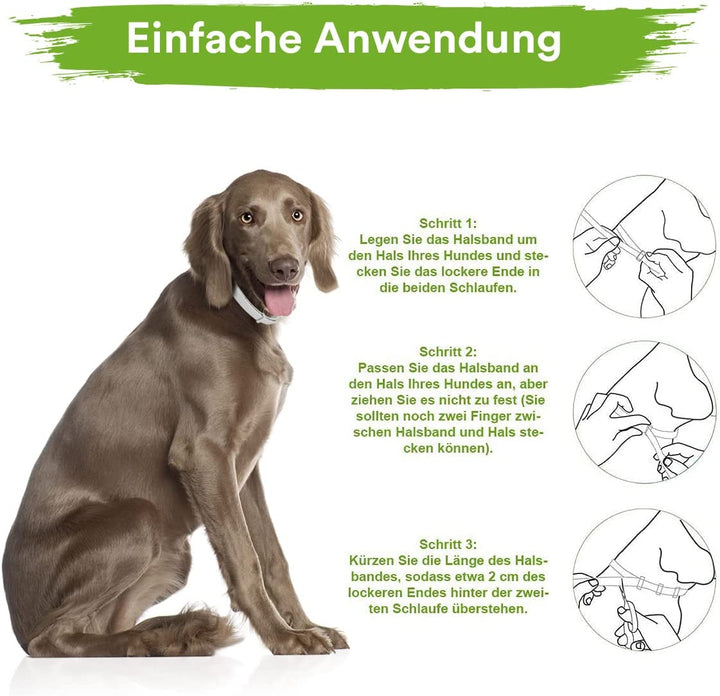MC-Royal® Premium Zeckenhalsband für Hund