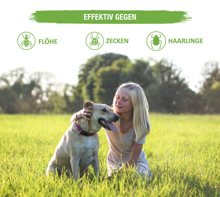 MC-Royal® Spot On für Hunde