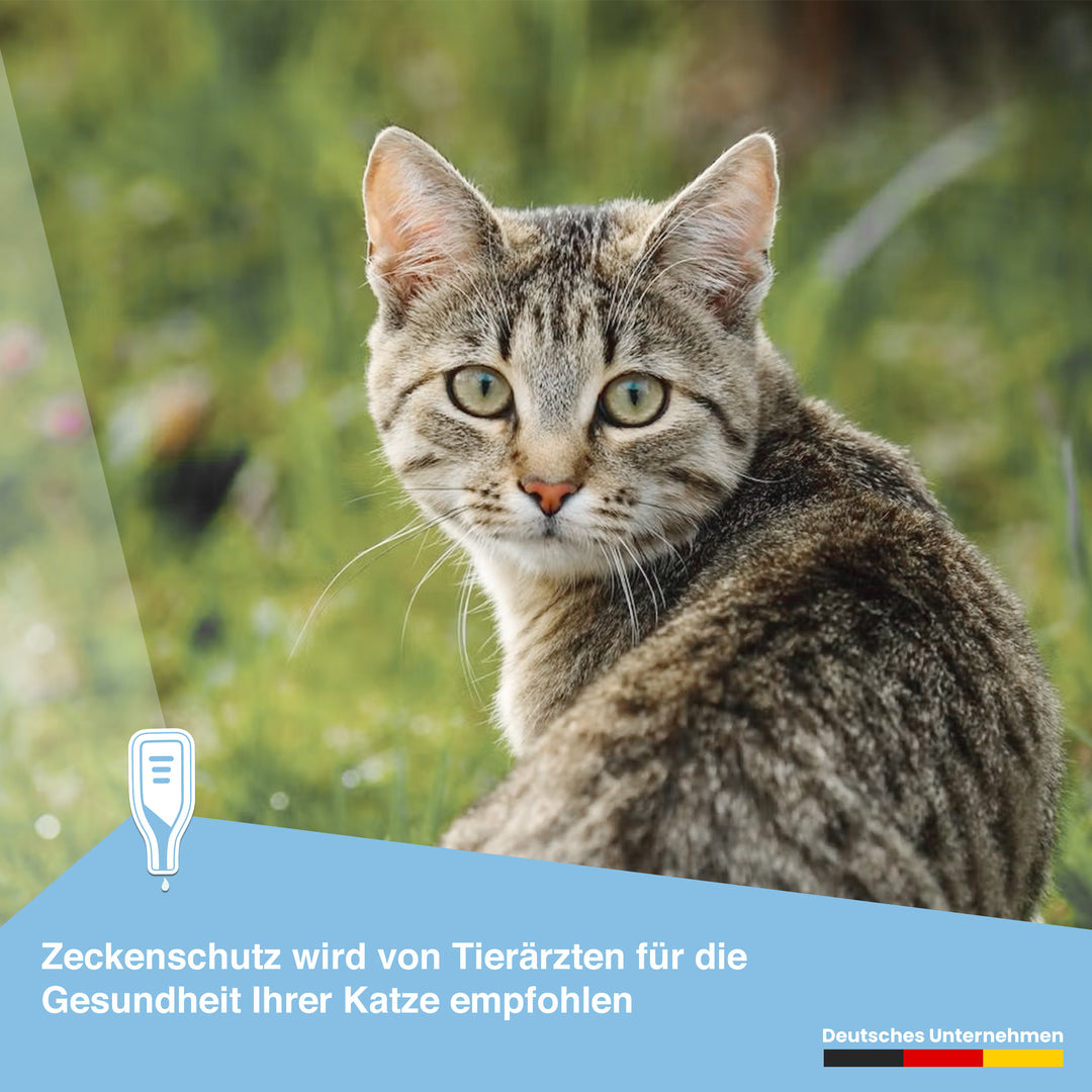 MC-Royal® Spot On für Katzen