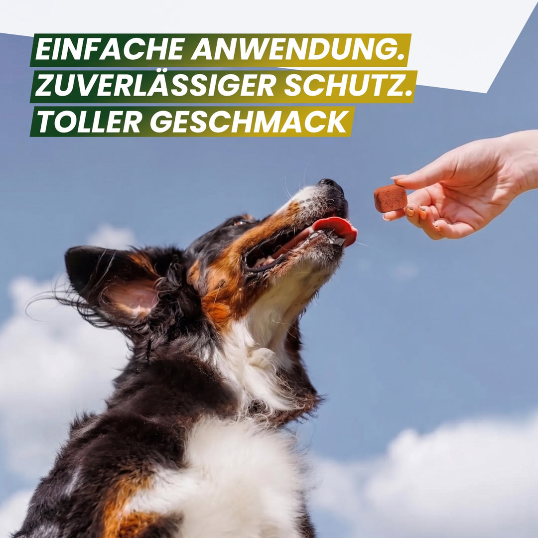 MC-Royal® Kautablette für Hunde gegen Zecken & Flöhe