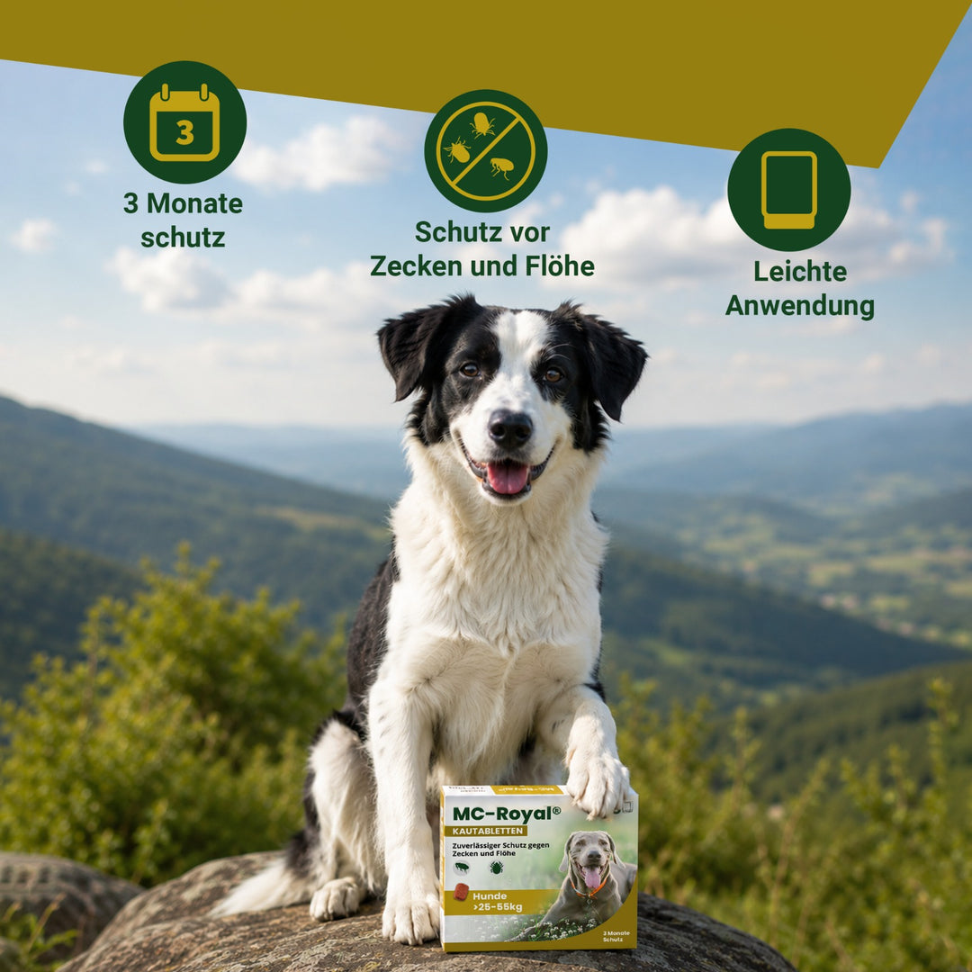 MC-Royal® Kautablette für Hunde gegen Zecken & Flöhe
