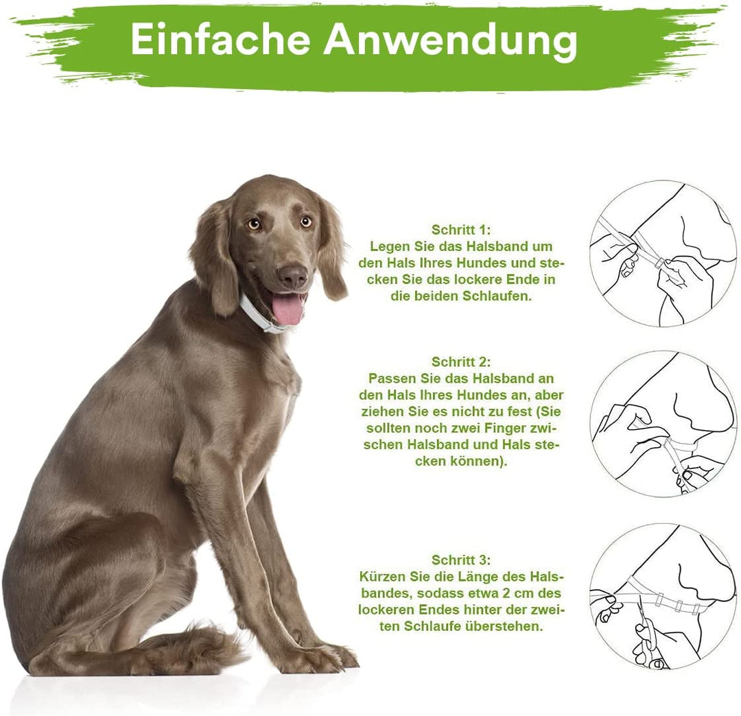MC-Royal® Deluxe Zeckenhalsband für Hunde