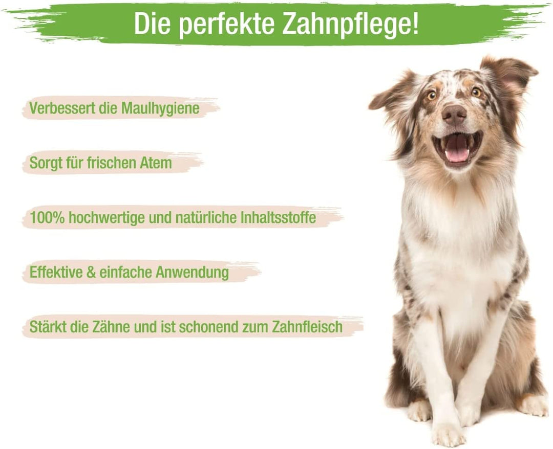 MC-Royal® Dental Care Spray für Hunde & Katzen