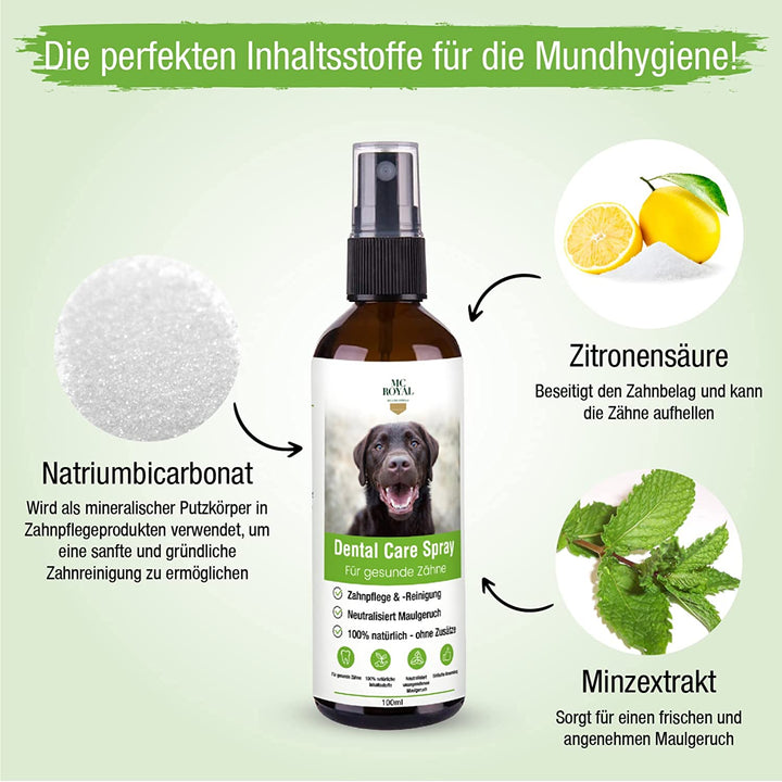 MC-Royal® Dental Care Spray für Hunde & Katzen