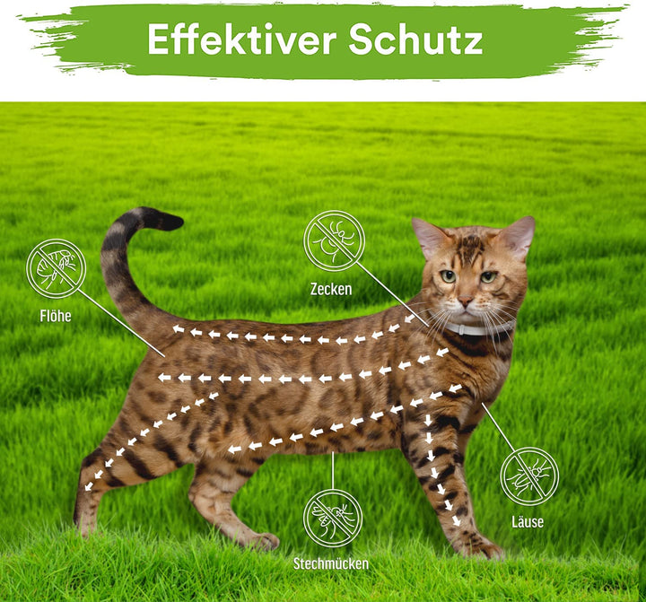 MC-Royal® Premium Katzen Zeckenhalsband