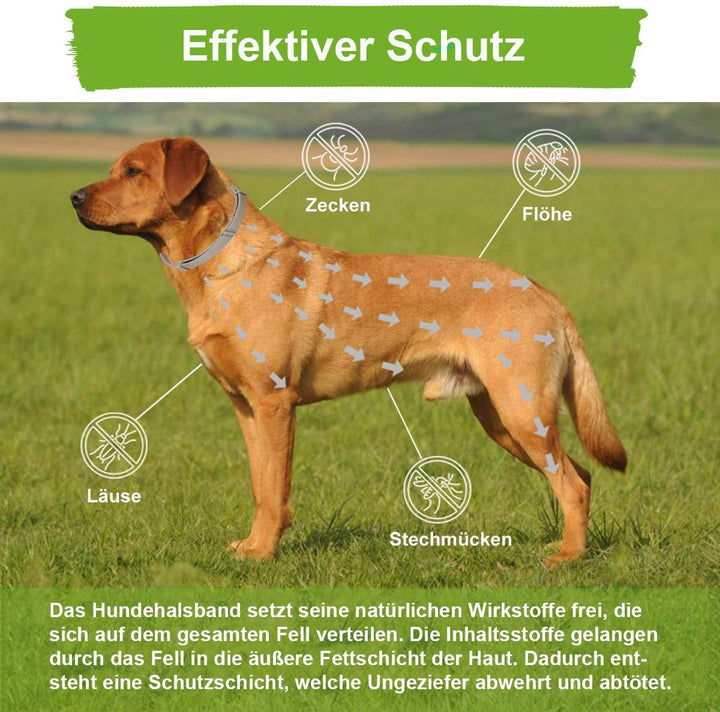 MC-Royal® Zeckenhalsband für Hunde und Katzen