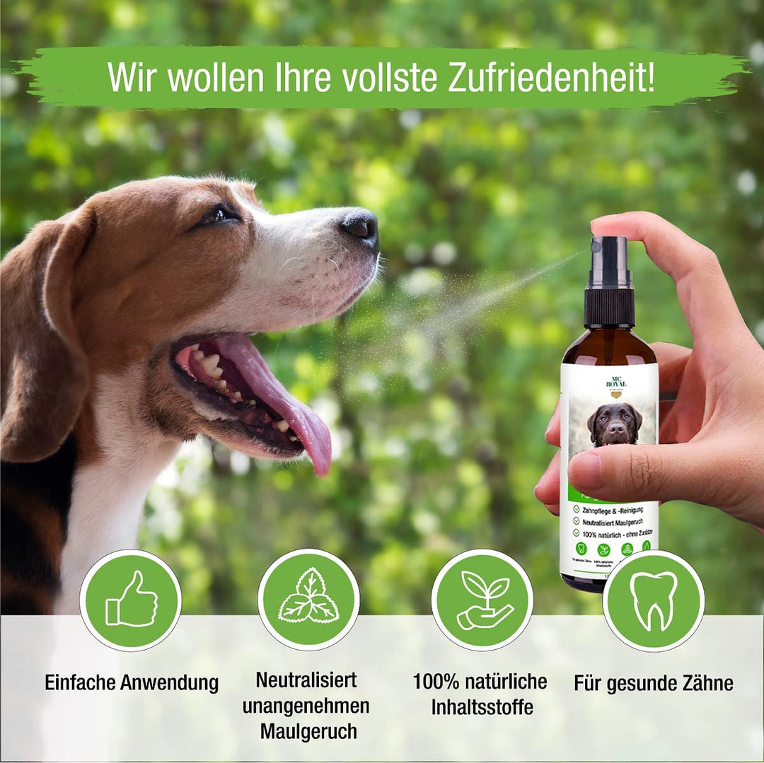 MC-Royal® Dental Care Spray für Hunde & Katzen