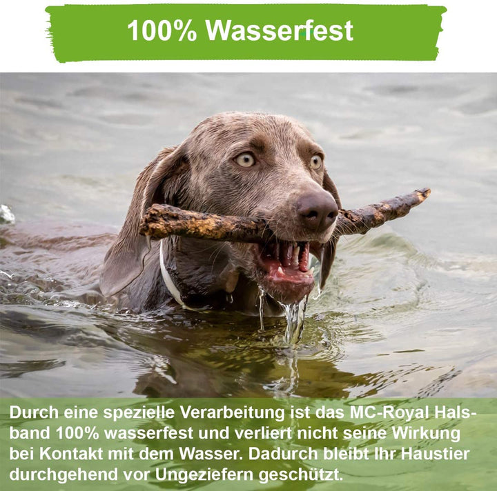 MC-Royal® Zeckenhalsband für Hunde und Katzen