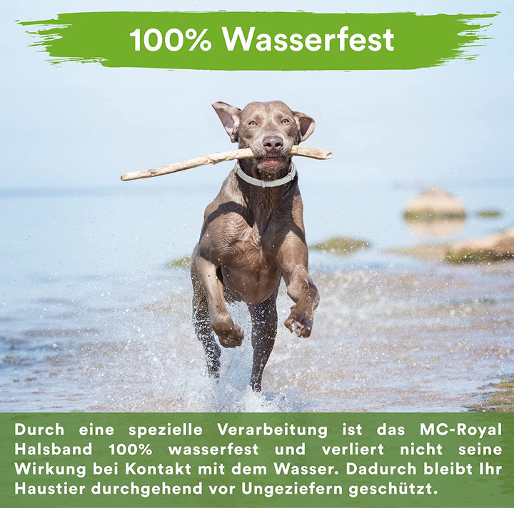 MC-Royal® Deluxe Zeckenhalsband für Hunde
