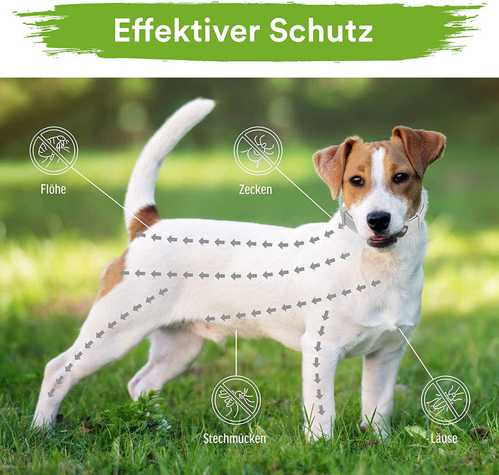 MC-Royal® Zeckenhalsband für kleine Hunde und Katzen