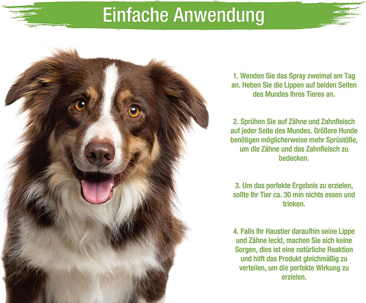 MC-Royal® Dental Care Spray für Hunde & Katzen
