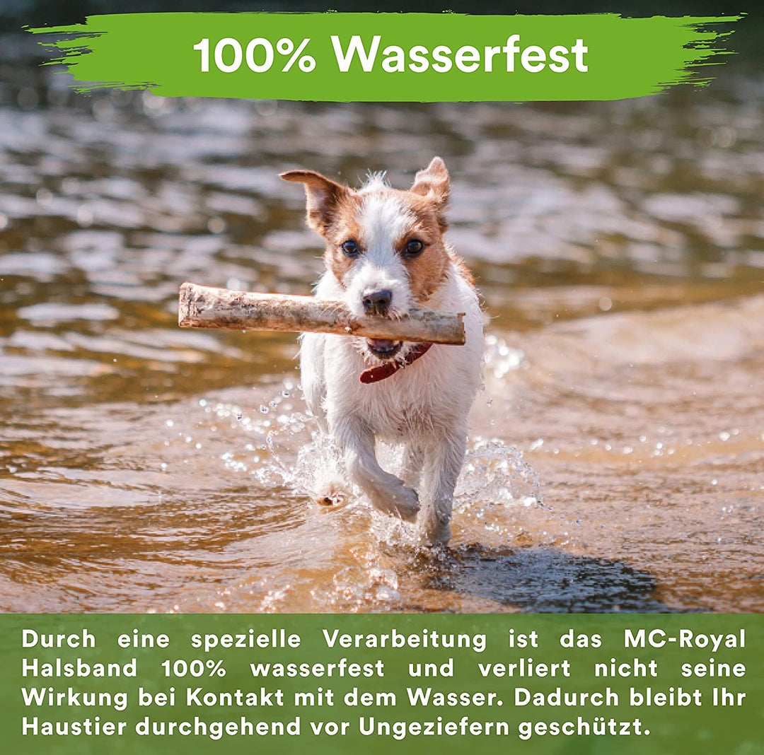 MC-Royal® Zeckenhalsband für kleine Hunde und Katzen