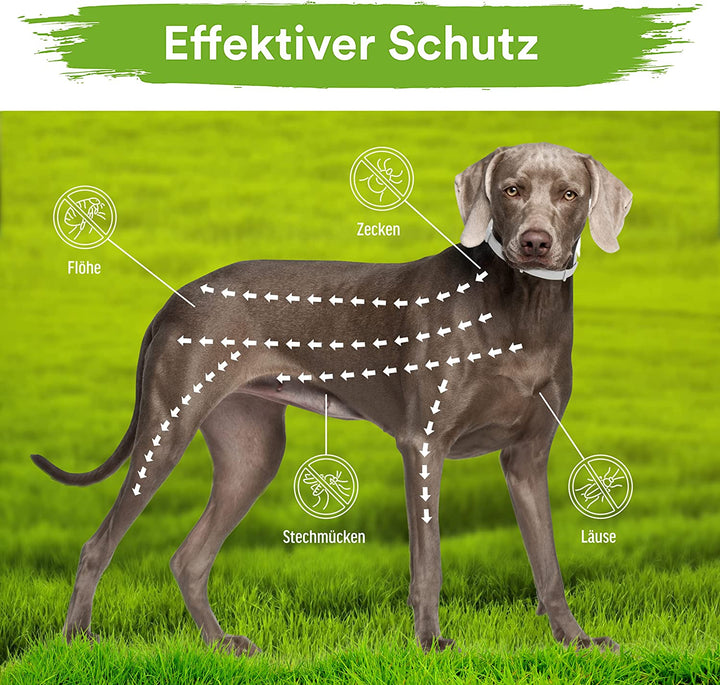 MC-Royal® Deluxe Zeckenhalsband für Hunde